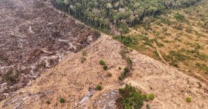 Área de floresta na Amazônia atingida pela estiagem