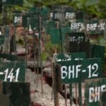 Placas numeradas em meio a vegetação indicam sepulturas de corpos não identificados em floresta no Nepal