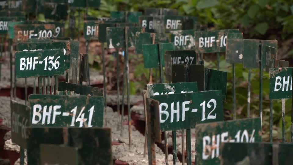 Placas numeradas em meio a vegetação indicam sepulturas de corpos não identificados em floresta no Nepal