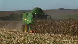 Paraná atinge recorde de R$ 213 bilhões na produção agropecuária