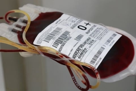 Saco de sangue com etiqueta de doação segurado por uma mão em ambiente interno