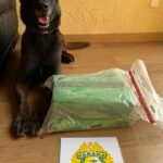 Cão de farelo sentado ao lado de pacote apreendido e placa com brasão da Polícia Militar do Paraná