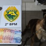 Objetos apreendidos, incluindo dinheiro, joias e substância branca, ao lado de um cão farejador em ambiente interno