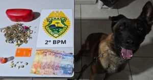 Objetos apreendidos, incluindo dinheiro, joias e substância branca, ao lado de um cão farejador em ambiente interno
