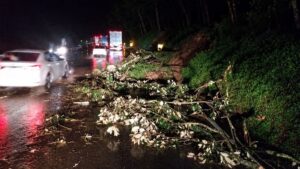 Árvore caída e destroços bloqueiam pista da rodovia à noite com veículos parados ao fundo