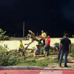 Um grupo de pessoas corta galhos de árvore caída em meio a destroços em via urbana