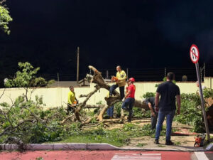 Um grupo de pessoas corta galhos de árvore caída em meio a destroços em via urbana