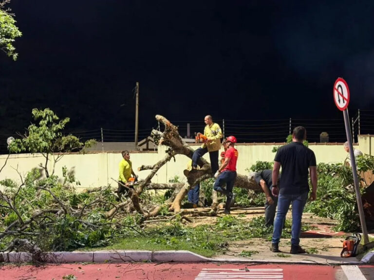 Um grupo de pessoas corta galhos de árvore caída em meio a destroços em via urbana