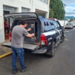Homem condenado a mais de 21 anos é preso em J. Távora
