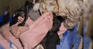 Um monte de roupas e cobertores sujos e desgastados em um canto escuro