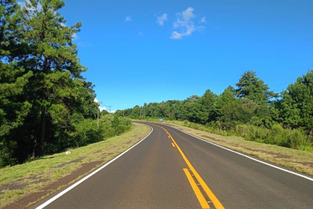 Uma estrada asfaltada com curvas em meio a vegetação sob céu azul claro