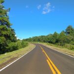 Uma estrada asfaltada com curvas em meio a vegetação sob céu azul claro