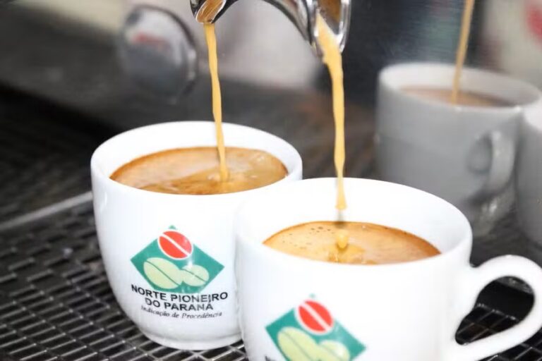 Café sendo servido em xícaras com logotipo de Indicação de Procedência do Norte Pioneiro do Paraná