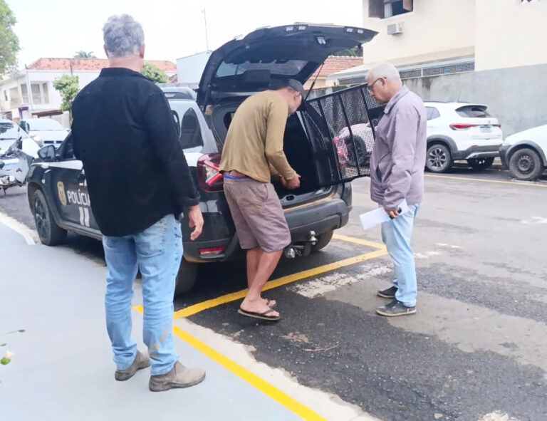 Três homens em frente a um veículo da Polícia com o porta-malas aberto em estacionamento