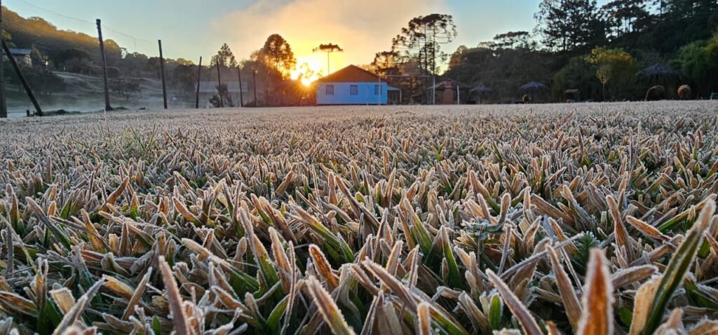 Um campo coberto de geada com uma casa ao fundo durante o amanhecer
